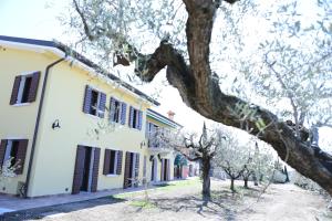 WANDERLUST OASI, COUNTRYSIDE APARTMENTS - Bardolino, Lago di Garda - Verona
