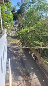 Ikigai Homestay 2 -Ngôi nhà bên biển