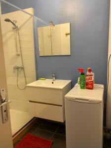 Charmant F2 près du centre ville