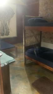 Chalés Mata Zen Garden