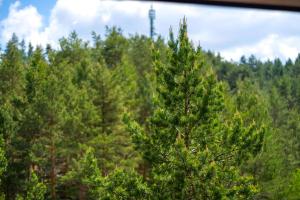 Pine Tree View Vila Pekovic Zlatibor