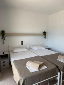 Lions 2 Studios & Apartments, Poros Island.