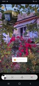ROLEO Guest House