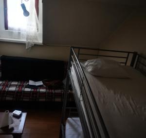 Trapmouse hostel