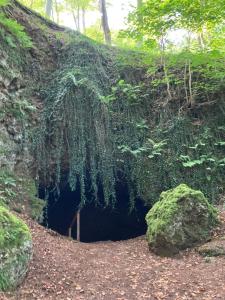 Moselidylle Meulenwald - Familie Pauls