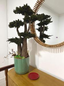 Green House in the Arts District