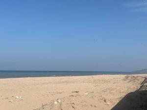 50 m de la plage