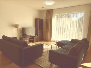 Svečių namai Palangoje, Monciškės