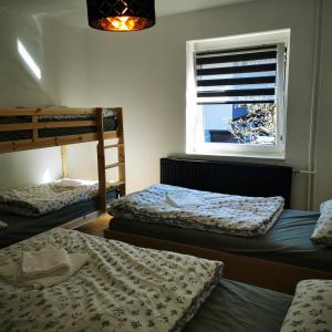 Mountain View Mojstrana