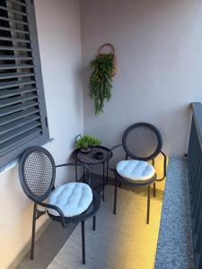 Perla Cozy Apartment- City Center Shkodër