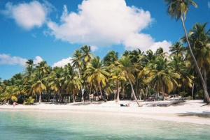 Estrella Dominicus Arena