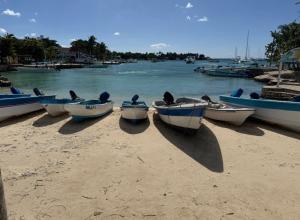 Estrella Dominicus Arena