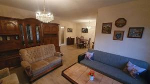 Wohnung mit Terrasse und Garten verkehrsgünstig