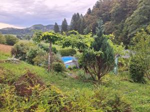 Počitniška hiša Eva