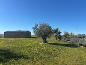 CHALET EN BOIS PRIVATIF ST POURCAIN SUR SIOULE