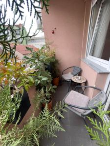 Apartman Oaza