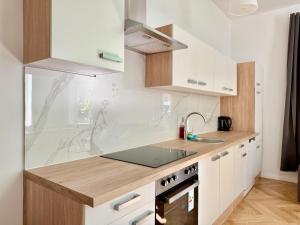 Modern New Renovated Apartment near Center
