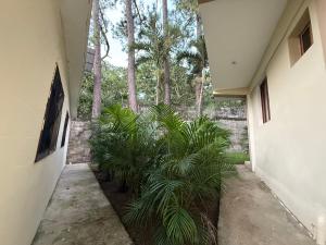 Complejo de villas regazo de paz