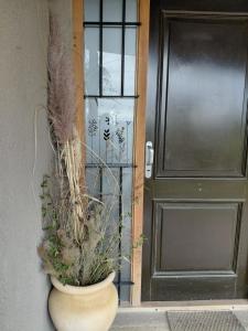 HastaLaRaíz-LosReartes