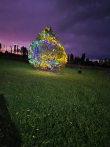 Cabañas el paraíso