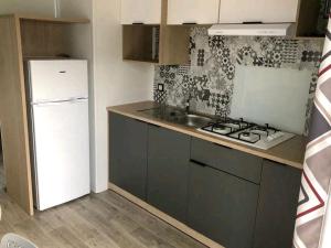 Mobil home - animaux admis - 6 pers. - API-1-52-2242