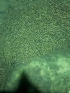 Coastal Homestay Phu Quoc