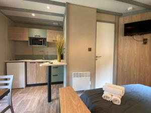 Chalet avec animaux acceptés - 2 pers. - API-1-52-2308