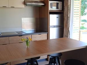 Chalet accueillant animaux - 7 pers. - API-1-52-2317