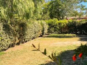 Mobil home animaux admis - 4 pers. - API-1-52-2373