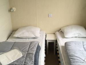 Mobil-home accueillant animaux - 6 pers. - API-1-52-2355