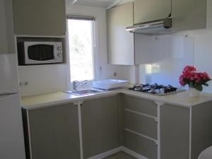 Mobil home animaux OK - 2 pers. - API-1-52-2379