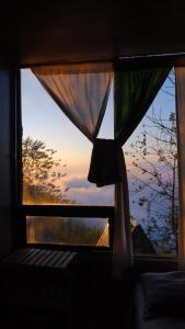 Sơn Tra Our House