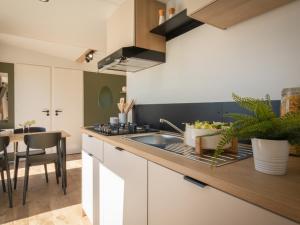 Mobil home, animaux OK - 5 pers. - API-1-52-2474