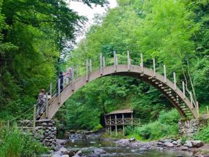 Mobil-home animaux OK - 6 pers. - API-1-52-2418