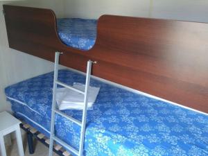 Mobil-home acceptant animaux - 5 pers. - API-1-52-2491
