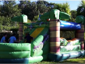 Mobil home animaux admis - 1 pers. - API-1-52-2515