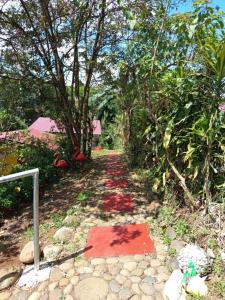 La Tigra Cabin Mountain View, Nature Trail