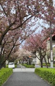 XH-Ōgi, Adachi City 足立2dk-AD0042