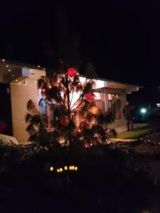 Jibhi Garden Heritage Home Stay