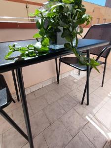 Perla e Stella img24