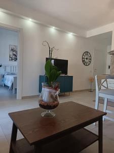 Perla e Stella img26