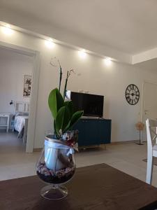 Perla e Stella img38