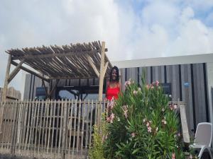 Mobil-home accueillant, animaux admis - 4 pers. - API-1-52-2587