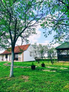 Ruralna kuća za odmor Bor Anya