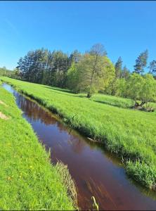 Siedlisko Gruszeczki