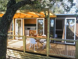 Bungalow clim et animaux acceptés - 4 pers. - API-1-52-2585