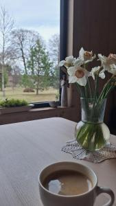 Siedlisko Gruszeczki