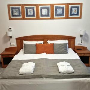 Alma Wellness & SPA Zalakaros