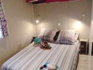 Mobil home - Animaux admis, 4 pers. - API-1-52-2649