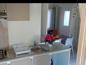 Mobil home, animaux admis - 2 pers. - API-1-52-2667